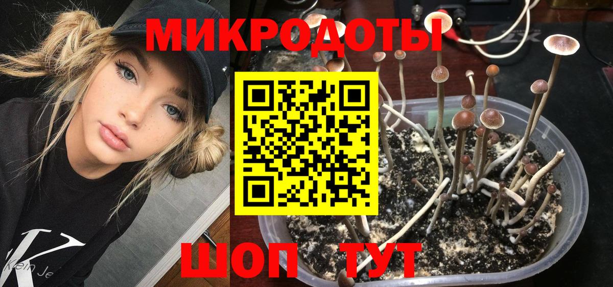 Губкин  Галлюциногенные грибы мухоморы  Вход с VPN 